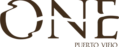 one-puertoviejo-logo